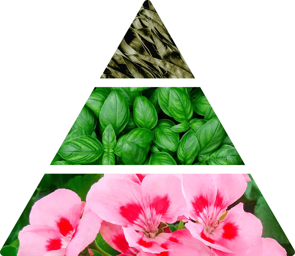 Logevy Albicocca e Basilico doftpinnar doftpyramid