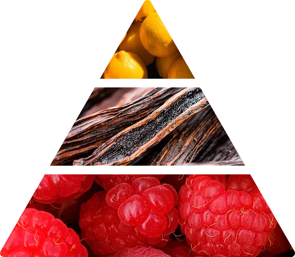 Doftnoter i Logevy Cashmere – citron, apelsin, bergamott, hallon, jasmin, vanilj och amber.