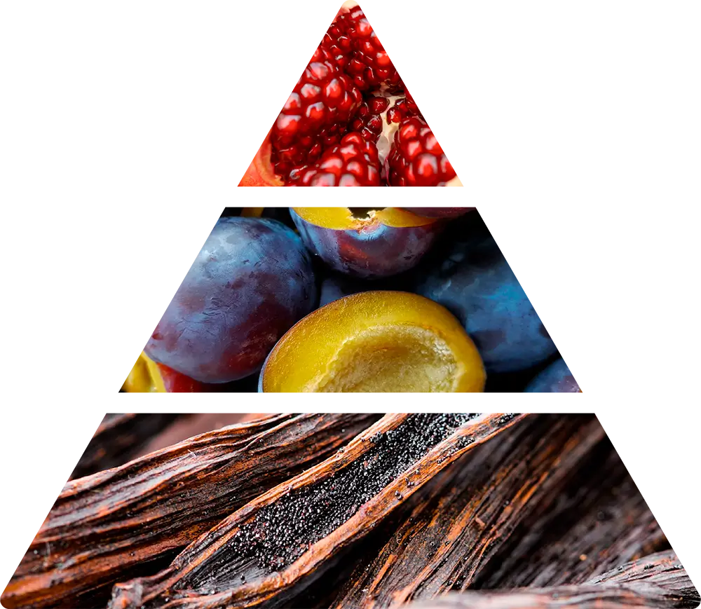 Italiensk lyxdoft från Logevy Firenze 1965 doftpyramid