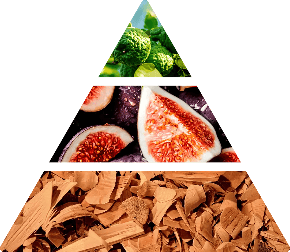 Logevy Fico e Pera doftpyramid