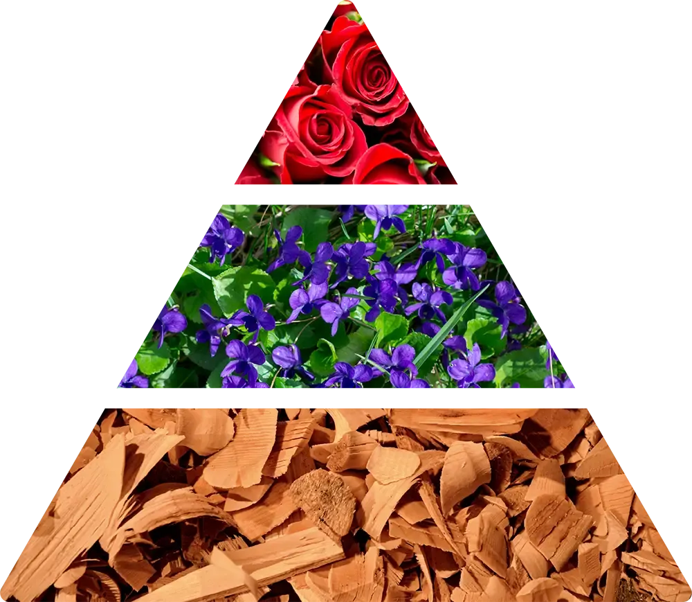 Doftnoter i Logevy Velluto – rosblad, liljekonvalj, iris, viol, vanilj, cederträ och vit mysk.