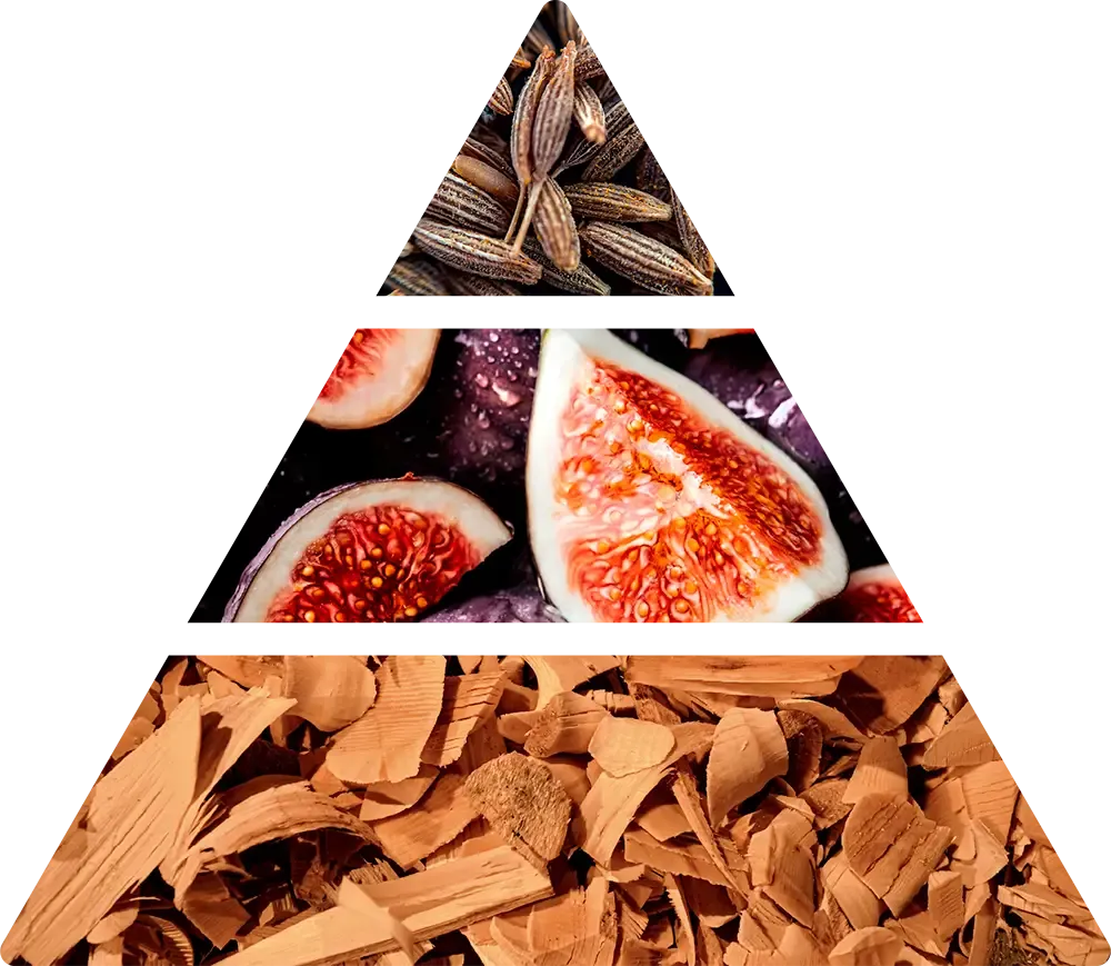 Logevy Ficus Botanica hemdoft med fikondoft doftpyramid
