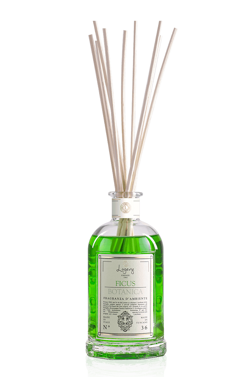 Logevy Ficus Botanica diffuser med bambupinnar