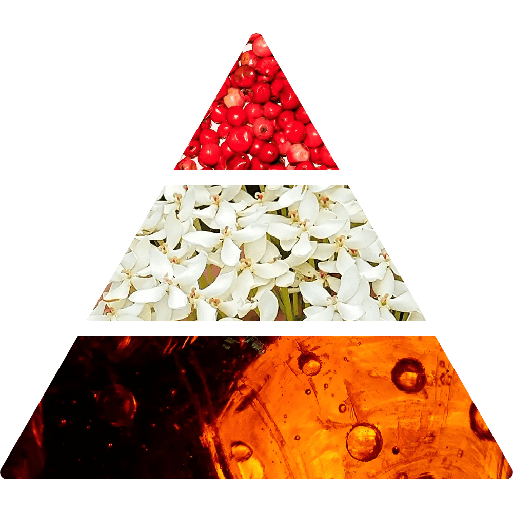 Logevy Il Fiorino diffuser doftpyramid