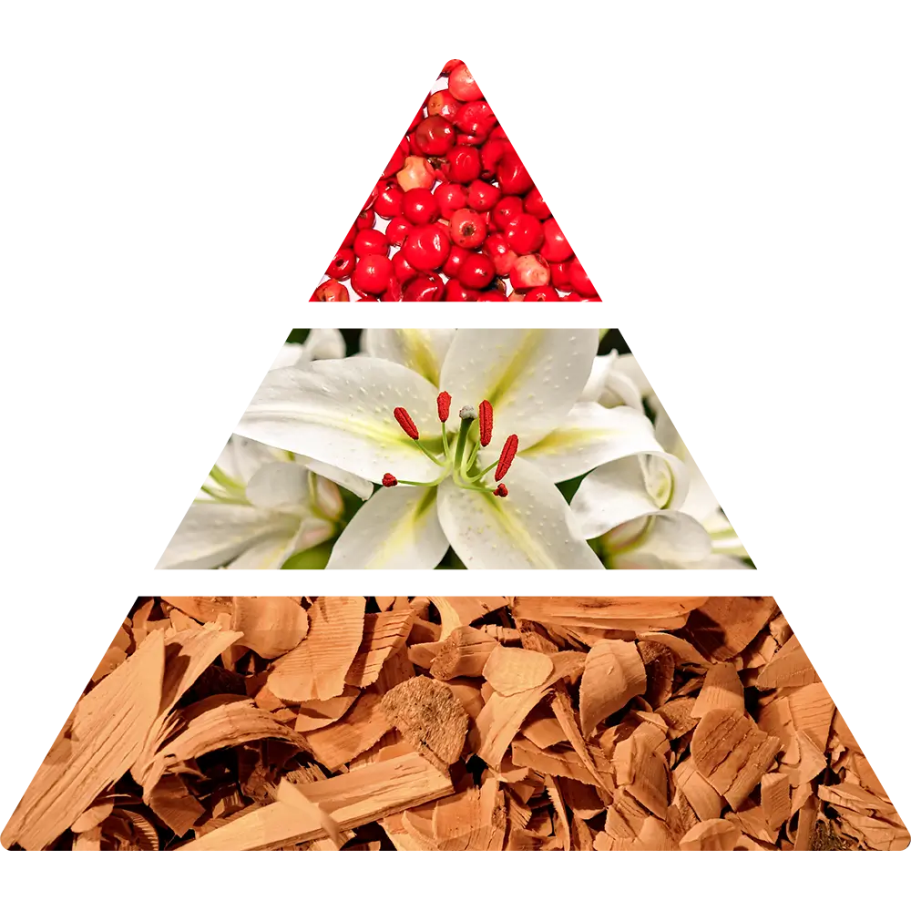 Il Marzocco rumsdoft doftpyramid