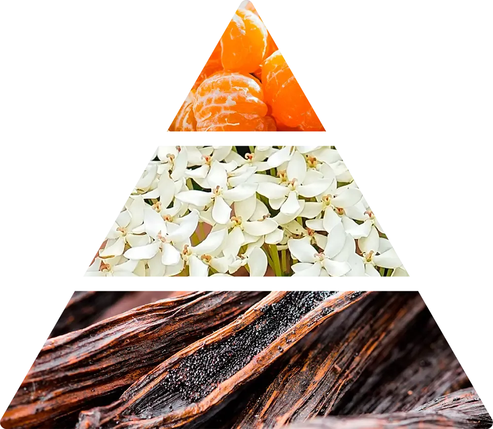 Doftnoter i Logevy Lino – mandarin, apelsin, kanel, jasmin, cederträ, patchouli, vanilj och sandelträ