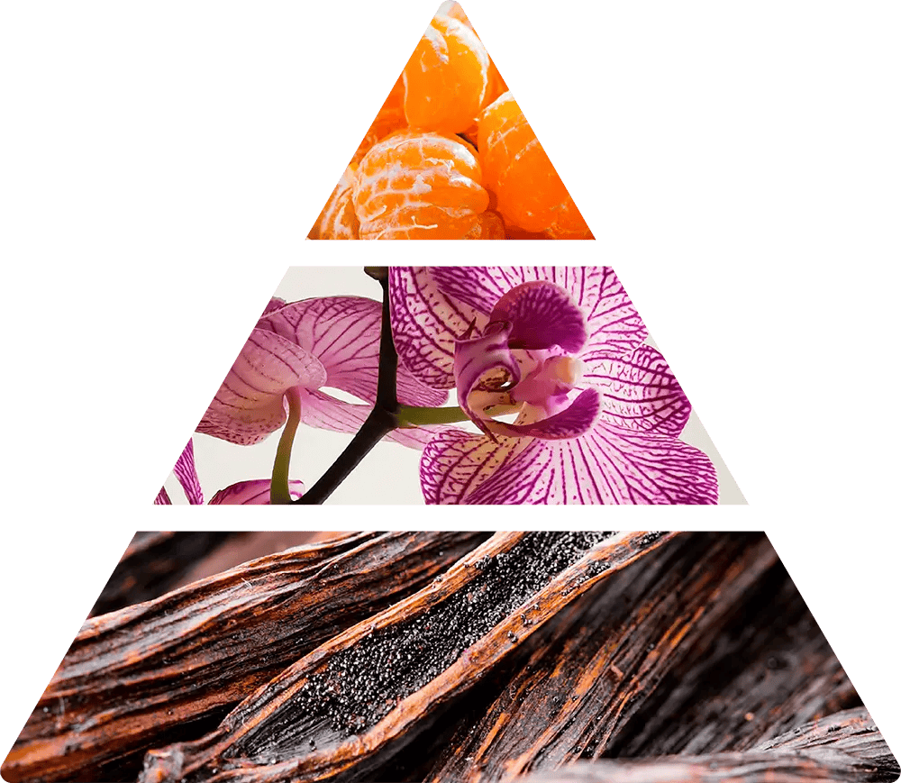 Logevy Oro di Firenze doftpyramid doftpinnar