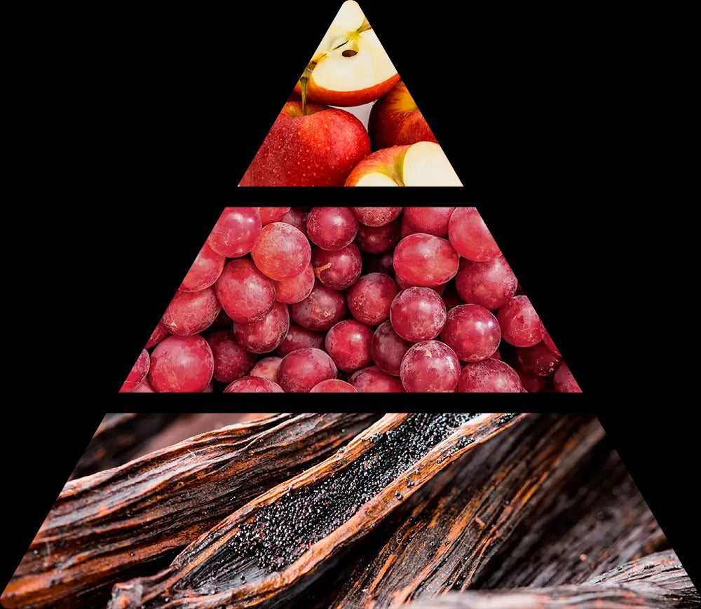 Rumsdoft från Logevy Firenze 1965 doftpyramid
