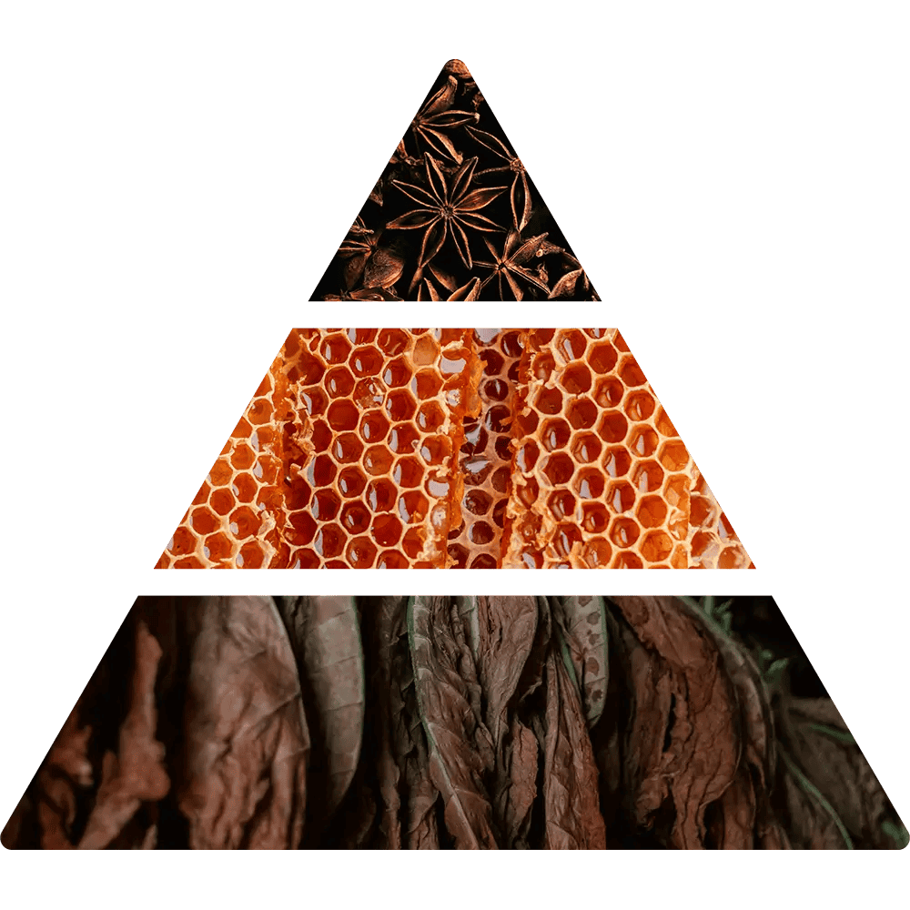 Tabacco Toscano hemdoft med tobak och honungsnoter doftpyramid
