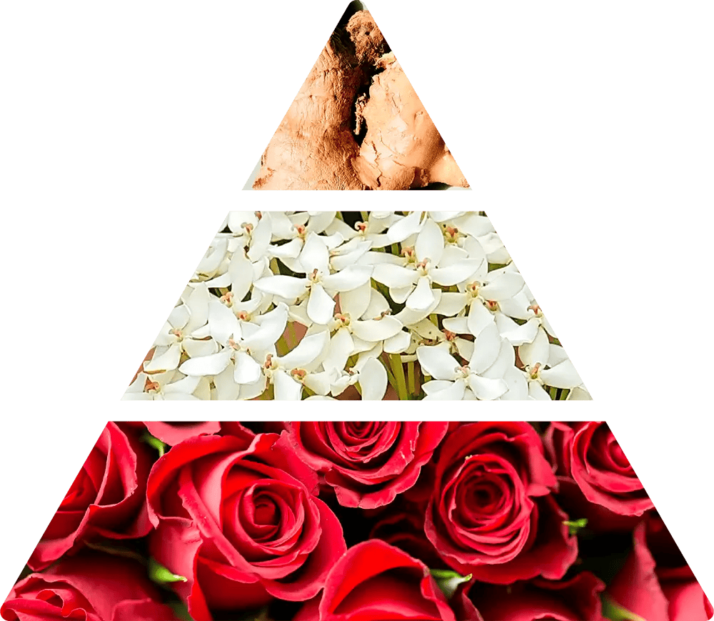 Logevy Firenze 1965 – Zenzero e Lime Doftpinnar